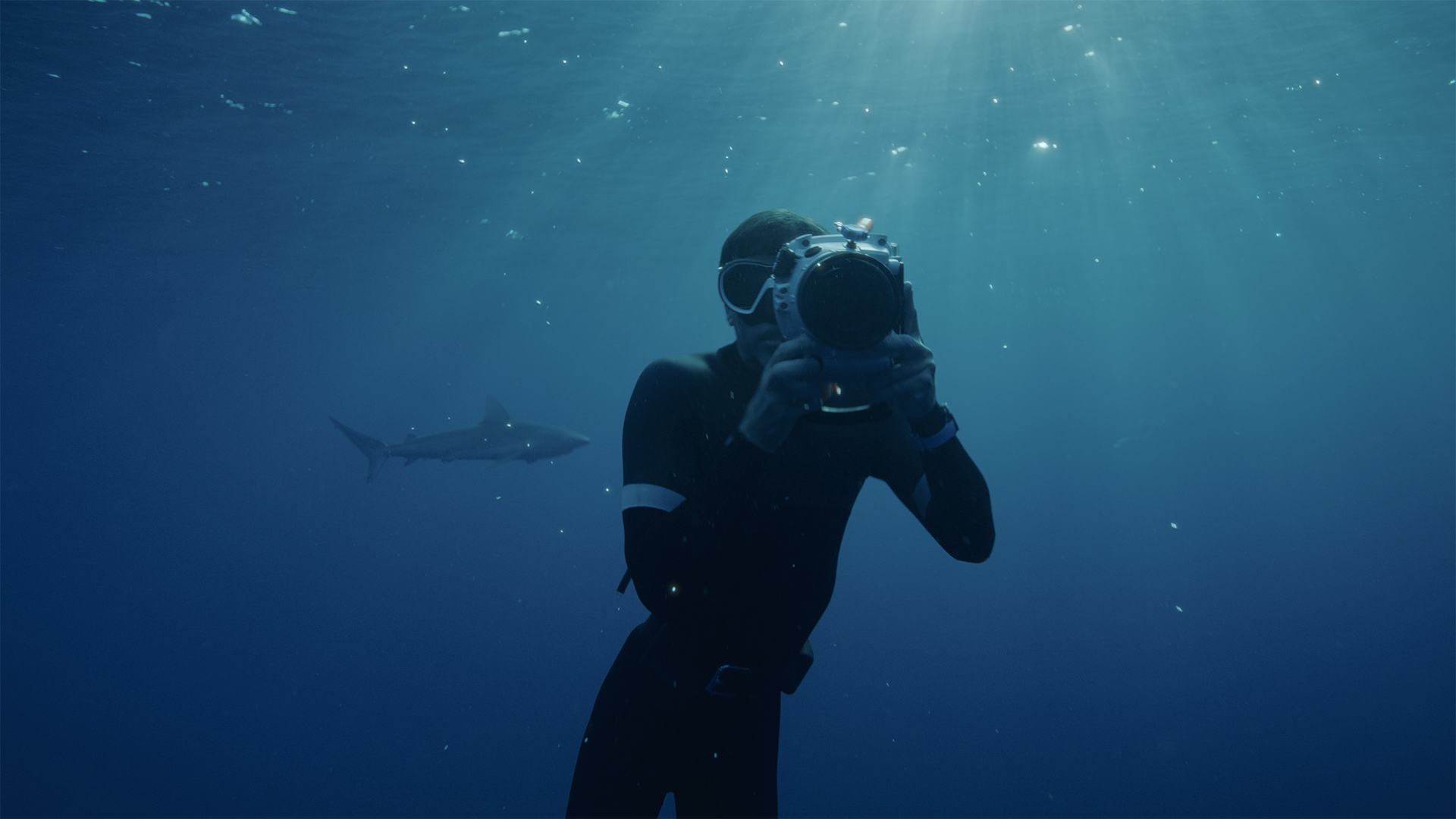 THE CALL
